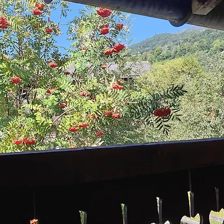 Heimeliges Tatil Evi *